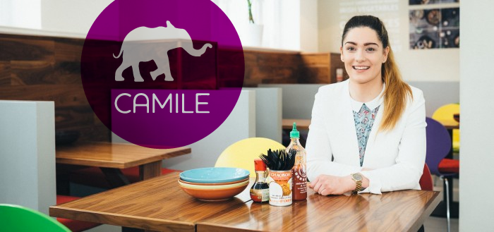 camile-blog